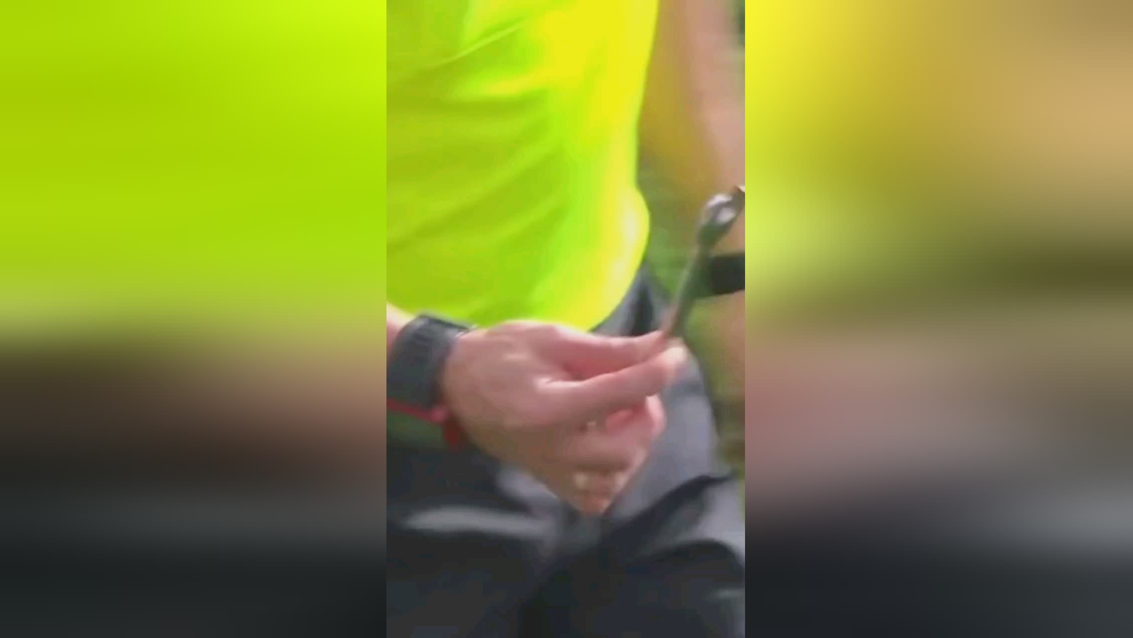 作用是